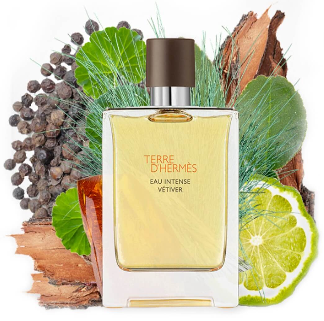 Terre Eau Intense Vetiver EDP 100 ml Perfumes Cardales