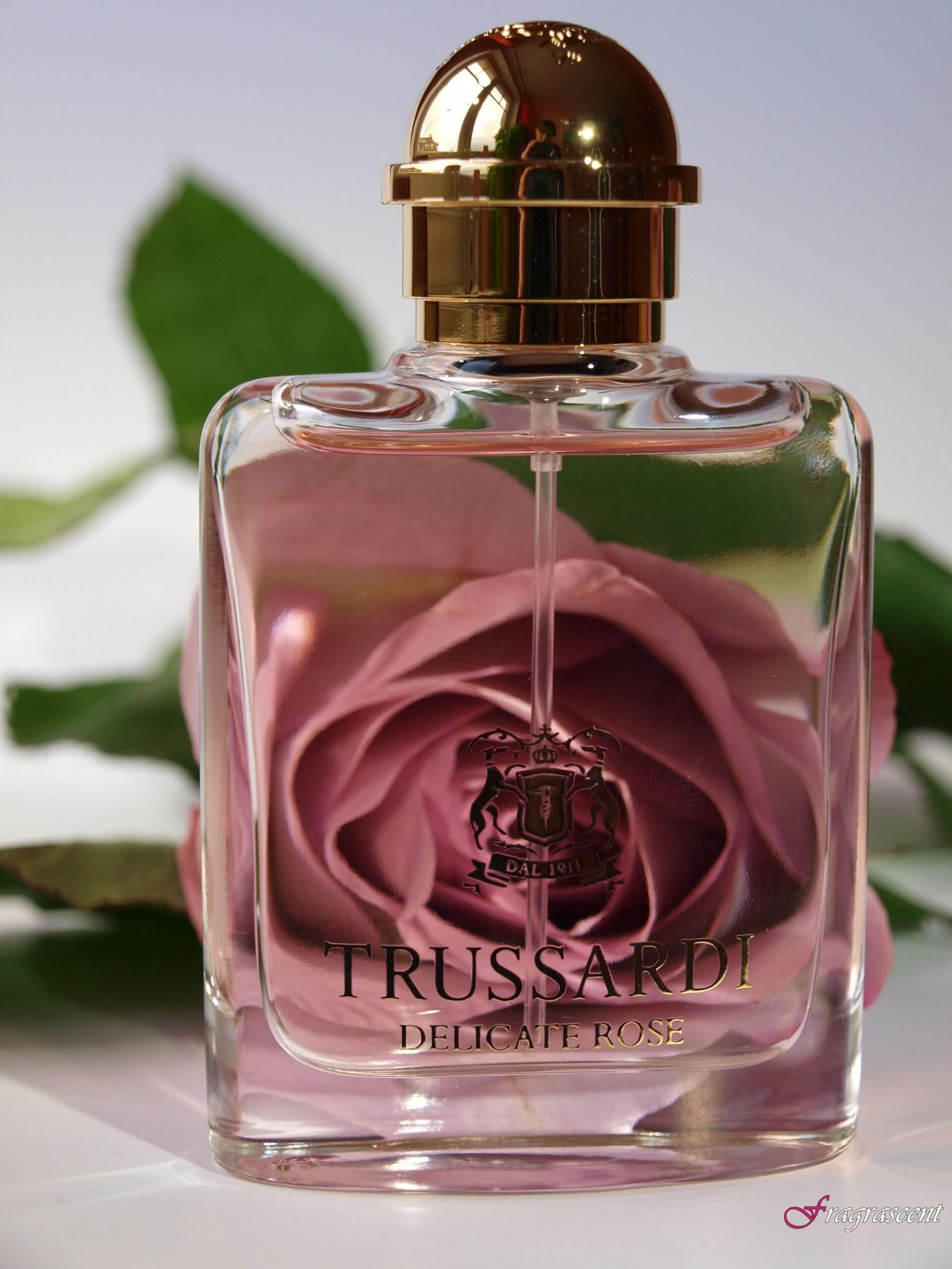 Trussardi delicate rose EDT 100 ml – Perfumes Cardales